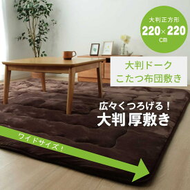 【メーカー直送品】カーペット ラグ 敷布団 長方形 「 大判ドーク 」約220×220cm | 30mm厚 極厚ラグ ラグカーペット 敷物 敷きもの 大きめ 厚手 フランネルラグ ふっくらラグ クッション性 おしゃれ こたつ敷き布団 シンプル 無地 防音 保温性 リビング 子供部屋 イケヒコ