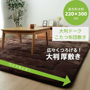 y[J[izJ[ybg O ~zc ` u 唻h[N v220×300cm | 30mm ɌO OJ[ybg ~ ~ 傫  tlO ӂ烉O NbV 