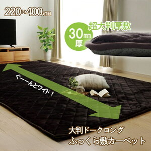 y[J[izO  唻 30mm~zc ӂ~ ` 220×400cm | 傫 ɌO OJ[ybg  J[ybg ` ӂ烉O ~zc  ~zc t