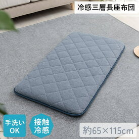 【メーカー直送品】 座布団 長座布団 冷感 長方形 マット 約65×115cm | 座ぶとん ソファー 敷きもの 敷布団 敷き布団 三層構造 丈夫 お昼寝マット 赤ちゃん ふっくら 接触冷感 ひんやり 夏 快適 手洗い可能 清潔 無地 シンプル メッシュ フロスト 三層長座布団 イケヒコ