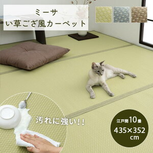 �y���[�J�[�����i�z ���� �J�[�y�b�g �]�ˊ�10�� �����` ��435×352cm | ���� ���O �~�� �~������ ��~�� �������ȒP �􂦂� ���� ��v �~�l ������ ���n �J�W���A�� �G�X�j�b�N ���_�� �i�`