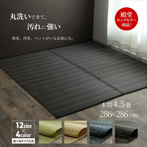 y[J[izyz oJ {4.5 286×286cmb 􂦂 PPJ[ybg a m ΍ ybg  ЂȂ   ͂  ͂ Ags[ AM[̎̕