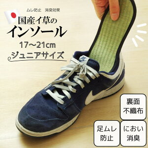 y[J[iz C\[ LbY ~ 19cm | L C SC vC h~ Xj[J[ u[c Ռz ʕsDz NbV Y fB[X 17cm 18cm 19cm 20cm 21cm 22cm 23cm 