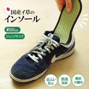 y[J[iz C\[ LbY ~ 20cm | L C SC vC h~ Xj[J[ u[c Ռz ʕsDz NbV Y fB[X 17cm 18cm 19cm 20cm 21cm 22cm 23cm 