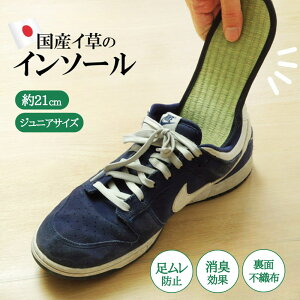 y[J[iz C\[ LbY ~ 21cm | L C SC vC h~ Xj[J[ u[c Ռz ʕsDz NbV Y fB[X 17cm 18cm 19cm 20cm 21cm 22cm 23cm 