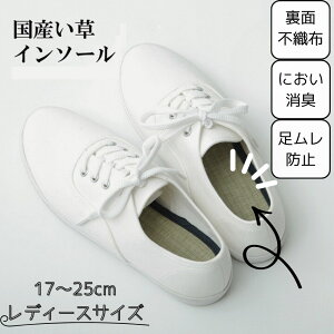 y[J[izC\[ ~ 25cm | L C SC vC h~ Xj[J[ u[c Ռz ʕsDz NbV Y fB[X 17cm 18cm 19cm 20cm 21cm 22cm 23cm 24cm 25cm 2