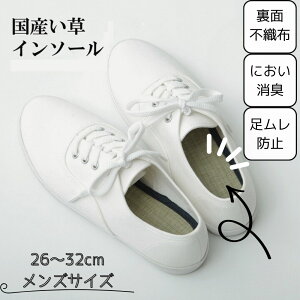y[J[izC\[ ~ 27cm | L C SC vC h~ Xj[J[ u[c Ռz ʕsDz NbV Y fB[X 17cm 18cm 19cm 20cm 21cm 22cm 23cm 24cm 25cm 2