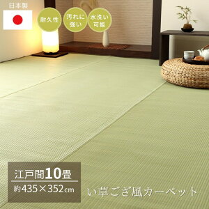 y[J[iz  J[ybg 􂦂 { ]ˊ10 435×352cm | ~ Jo[ ~ O}bg  _ a ` 􂢉\  ݍ܂Ȃ |v