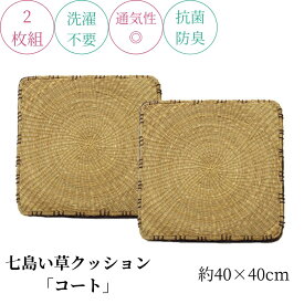 【メーカー直送品】クッション 七島い草 クッションシート マチ付 約40×40cm 2枚組 | 座布団 座ぶとん クッション 藺草 チェアクッション 消臭 抗菌 空気浄化 調湿 リビング ダイニング ソファー ソファ チェア 椅子 居間 和室 洋室 子供部屋 アジアン コート イケヒコ