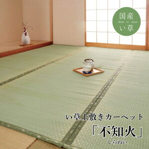 y[J[izY  ~ J[ybg sD wsm΁x ]ˊ3(176×261cmj F{YCgp | O 炮 O}bg }bg J[ybg}bg ~ O~ イ