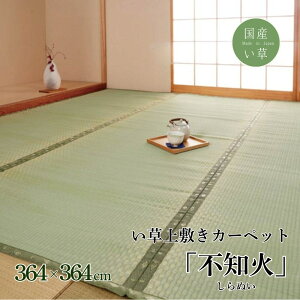 y[J[izY  ~ J[ybg sD wsm΁x OZ8(364×364cmj F{YCgp | O 炮 O}bg }bg J[ybg}bg ~ O~ イ