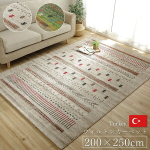 y[J[izEBgD J[ybg }A RUG 200×250cm b EBgJ[ybg EBgD 200×250cm Mbx RۖhL gR
