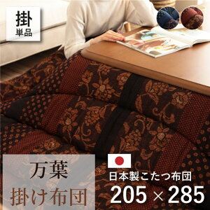 y[J[izvg |zcPi 205×285cm | H a_ x ӂƂ ~ H~ ΍ g[ ` rO _CjO a m   q