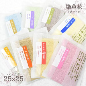  -߂- { nJ`^I 25x25cm | ^I nJ` Y^I 100 { { ؐ VR VRf Ԍt  a Rbg fB[X Y  Vv