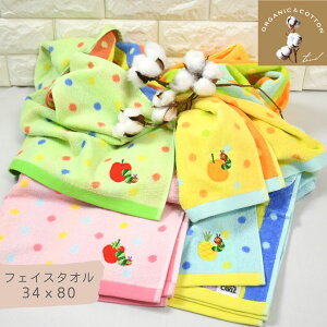 ͂؂ނ I[KjbNtFCX^I LfBhbg | tFCX^I Rbg I[KjbN 100% 34x80 ͂؂ނ GbNEJ[ ނ  G{ hbg 