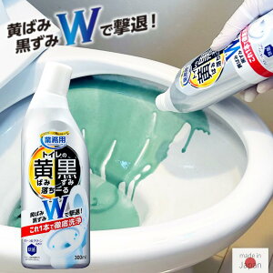 gC gC̉΂݂ƍݗ[ 300ml |  { gCp t gC gCp Ɩp v u  L  R  u  ΂ | |p