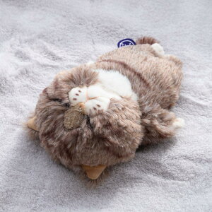 ڂ݂Ȃ˂ ʂ lR |  ˂ lR ʂ ڂ˂ _ L   r[Y CeA G LObY  ʂ YQ 킢 v[g Mtg 