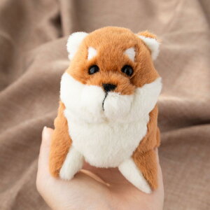 킽 ʂ ̂Ȃ | rVt[[ |jA nXL[ gCv[h Č  Ck ʂ   ӂӂ CeA G ObY  ʂ ʂB