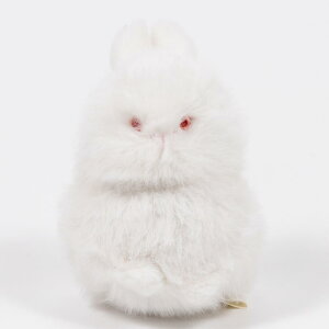 킽 ʂ k̂ǂԂ | 䂫 V}GiK  ӂ낤  ʂ     kC ӂӂ CeA G ObY  ʂ ʂB