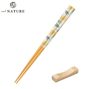  and NATURE t[ 23cm |   킢 h ዷh蔢 ዷ h蔢 ዷ h蔢 u Zbg { Y a 蕨 v[g pI l  ԕ ~U u[ sN 