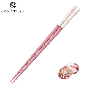  and NATUREH@Ή bV 23cm |   킢 h ዷh蔢 ዷ h蔢 ዷ h蔢 u Zbg { Y a 蕨 v[g pI l ubN sN