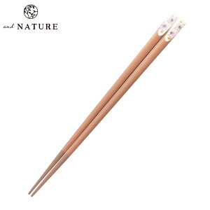  and NATURE rW[ 23cm |   킢 h ዷh蔢 ዷ h蔢 ዷ h蔢 u Zbg { Y a 蕨 v[g pI l  ԕ O[ uE