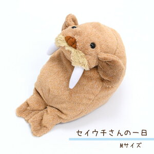 ZCE`̈ MTCY ʂ | 26cm ZCE` ZCE` ʂ  C    ftH 炳 ӂӂ  CeA G fBXvC 