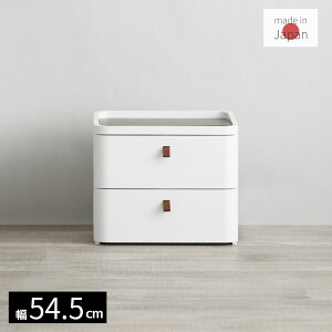 y[J[z [P[X o ChA[ 2i 54.5cm | ߑP[X `FXg Lrlbg VFt [ vX`bN { ^X rO CeA Ƌ  V