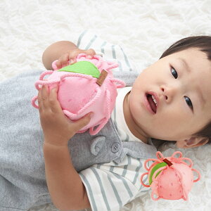 【2022 グッド・トイ受賞 】 わっかボール | おもちゃ 玩具 綿 布製 おもちゃ 果物 ファーストトイ ぬいぐるみ 紐付 ラトル 鈴 ガラガラ 洗える 出産祝い 誕生日 知育玩具 かわいい おしゃれ 女