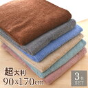 超大判 90x170 バスタオル 3枚セット | ビッグ 大判 大きい タオル 170cm バスタオル 大きめ タオルケット 無地 綿100% 風呂 お風呂 洗面 吸水 ベビー 子供 お昼寝 ブランケット アウトドア 業務用 エステ サロン シンプル