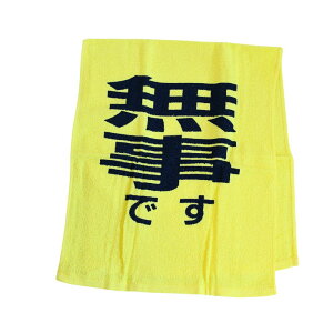 h ^I ł SOS 34×84cm | ۊmF ЊQ ً} hЃObY hЗpi  펞 nk Q  tFCX^I ڈ F^I CG[ ЊQ΍ P hЃ^I CV~Y