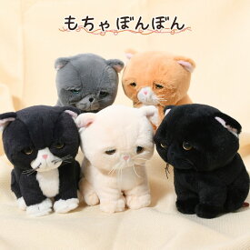 エキゾチックショートヘア ぬいぐるみ もちゃぼんぼん | 小さい ねこ ネコ ぬいぐるみ 猫 ふわふわ 生き物 動物 インテリア 雑貨 猫グッズ おもちゃ ぬい 手乗り かわいい おしゃれ プレゼント ギフト 癒し ディスプレイ お出かけ ぬい撮り