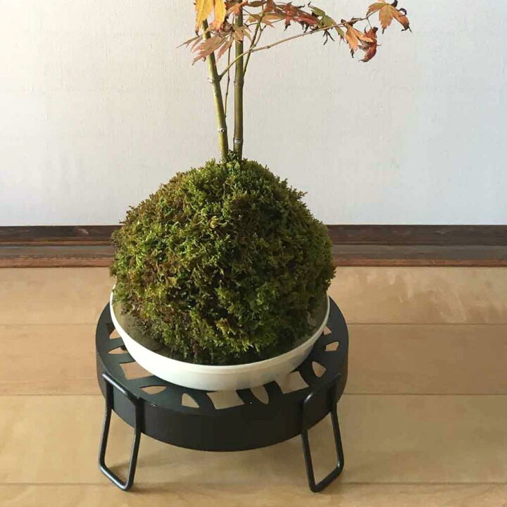楽天市場】和柄プランタースタンド S M | 植木鉢 台 スタンド 