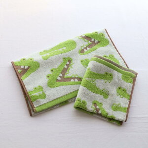 Aj}tFCX tFCX^I 34×80cm | ^I tFCX^I  Aj}  yM j bT[p_ Jo 킢   qǂ l ʊw ʉ ӂӂ {