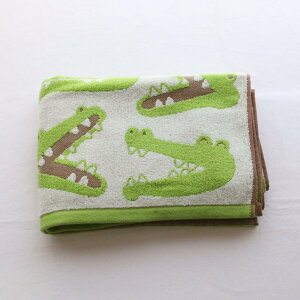 Aj}tFCX oX^I 60×120cm | ^I oX^I  Aj}  yM j bT[p_ Jo 킢   qǂ l ʊw ʉ ӂӂ {[ 