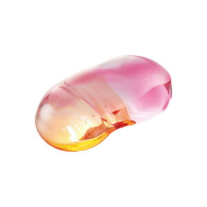 u pbV | u Jg[Xg KX NA  킢  Jt Of[V 