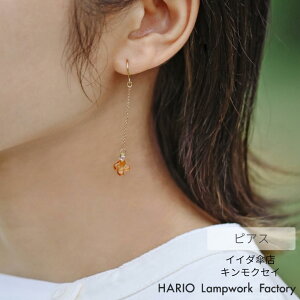 HARIO CC_PX sAX LNZC Ao[ | nI KX ANZT[ ϔMKX  v[g fB[X { nhCh Mtg Vv l WG[  