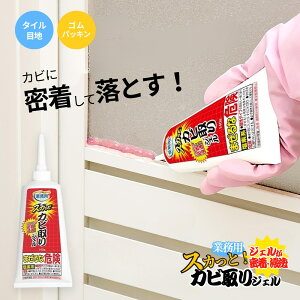 Ɩp XJbƃJrWF 140g | { Jr  ڒn Jr | pbL ^C Jr ACfBA Jr Jr  WF Ɩp  C C |pi N[