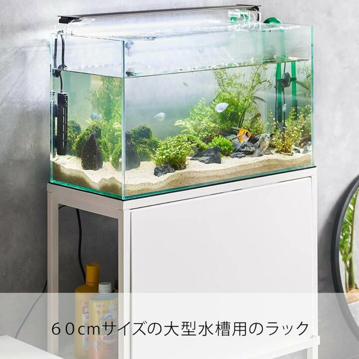 楽天市場】【 レビュー特典あり 】 nooks 水槽ラック ヌークス | 幅 