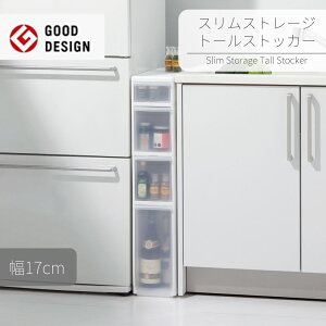 XXg[Wg[XgbJ[4i [[t | 17cm Ԏ[ X XgbN Lb`[ ①ɉ ʏ h[[ @ S [[ {g[ 