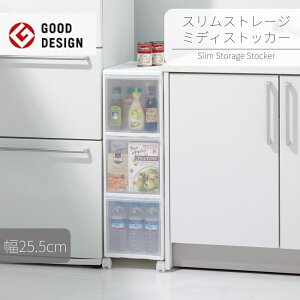 XXg[W~fBXgbJ[3i LX^[t | 25cm Ԏ[ X XgbN Lb`[ ①ɉ ʏ h[[ @ S LX^[ {g[ 