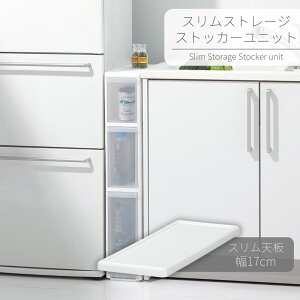 XXg[W XgbJ[jbg XVjbg | Lb` [ o XgbJ[ IvV p[c gݍ킹   [{bNX N[[bg gݍ킹 Vv