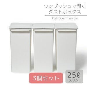 vbVI[vgbVr X 25L LBD-22 3P