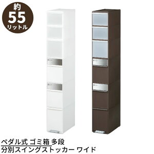 yVzy_ S~ i [ ʃXCOXgbJ[ Ch 55L XeXpl 25.5cm { | [{bNX 55 bg _Xg{bNX Lb` [ XgbJ[ Lb`