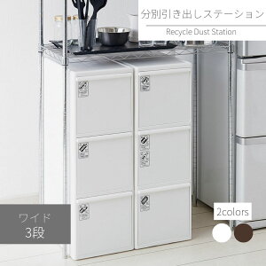 ʈoXe[V Ch 3i 60L | t^tS~ o 25.5cm 60bg e   ʃXebJ[  킢 Lb` rO _Xg{bNX  T