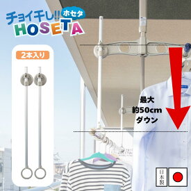 工具不要 物干し延長アーム 日本製 “2本入り | 物干し竿 延長 下げる 高さ調節 チョイ干し 物干し ベランダ用 天吊り物干し 補助アーム 天井吊り下げ 洗濯物干し 屋外 物干し竿 高さを下げる 補助物干し 補助棒 公団 屋外 固定 ものほし 洗濯 ランドリー 竿 ハンガー