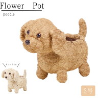 犬の園芸ポット プードル 3号 ブラウン/ホワイト | ガーデニング 園芸 花 植物 木 観葉植物 ガーデニング…