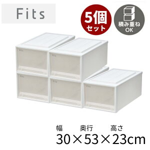 2025N j[A tBbcP[X [53-30M] 5Zbg 30cm×s53cm×23cm | [P[X o vX`bN o vX`bN [ [{bNX ߑ o ςݏd X^bL