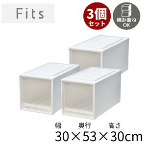 2025N j[A tBbcP[X [53-30L] 3Zbg 30cm×s53cm×30cm |[P[X o vX`bN o vX`bN [{bNX ߑ o ςݏd X^bLO 