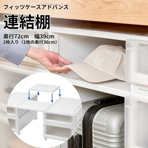 フィッツケース アドバンス 連結棚 ハーフ2枚入 74-39 | 家具 インテリア 生活用品 収納用品 収納ボックス 収納ケース プラスチック Fits 連結板 棚板 シェルフ シンプル おしゃれ 便利 かんたん